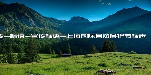 宣传-标语-宣传标语-上海国际自然保护节标志、吉祥物和宣传语