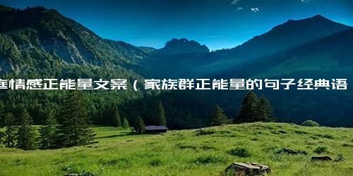 家庭情感正能量文案（家族群正能量的句子经典语句）
