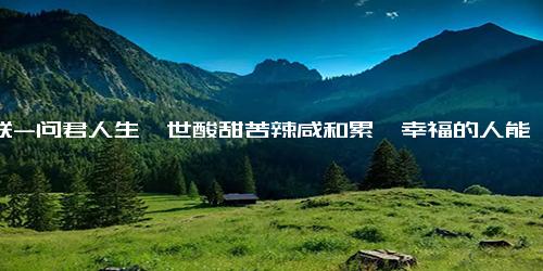 对联-问君人生一世酸甜苦辣咸和累,幸福的人能有几位对联下一句