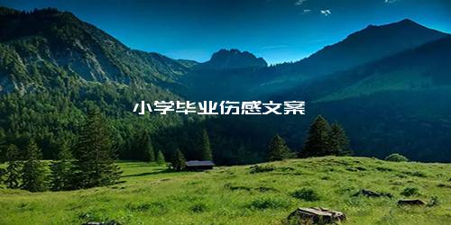小学毕业伤感文案