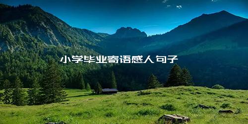 小学毕业寄语感人句子