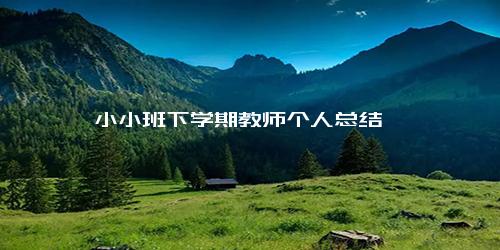 小小班下学期教师个人总结