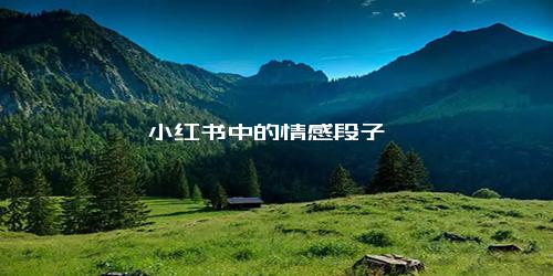 小红书中的情感段子