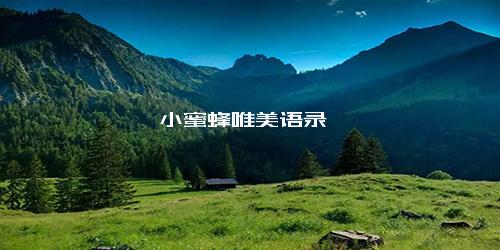小蜜蜂唯美语录