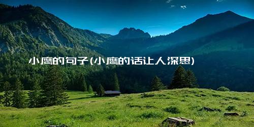 小鹰的句子(小鹰的话让人深思)