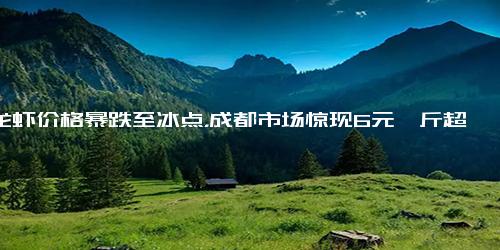 小龙虾价格暴跌至冰点，成都市场惊现6元一斤超低价，你准备好大快朵颐了吗？