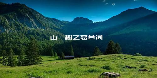 山楂树之恋台词