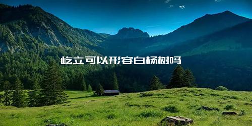 屹立可以形容白杨树吗
