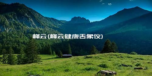 峰云(峰云健康舌象仪)