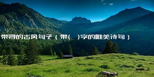 带寻的古风句子（带(兮)字的唯美诗句）