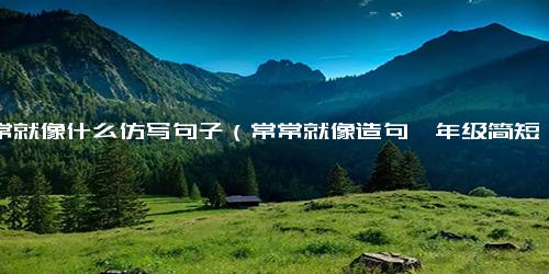 常常就像什么仿写句子（常常就像造句一年级简短）
