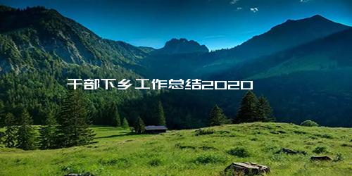 干部下乡工作总结2020