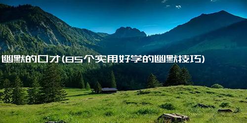 幽默的口才(85个实用好学的幽默技巧)