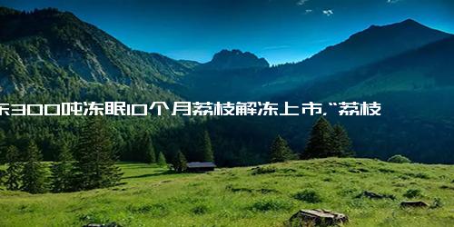 广东300吨冻眠10个月荔枝解冻上市，“荔枝自由”回来了