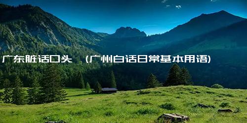 广东脏话口头禅(广州白话日常基本用语)