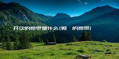 开饮的意思是什么(微曛的意思)