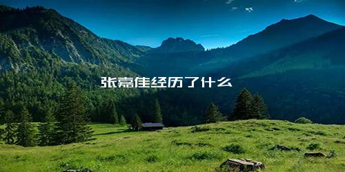 张嘉佳经历了什么