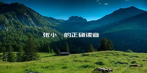 张小斐的正确读音