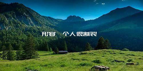 形容一个人很割裂