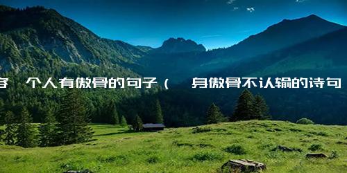 形容一个人有傲骨的句子（一身傲骨不认输的诗句）
