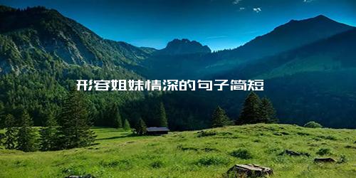 形容姐妹情深的句子简短