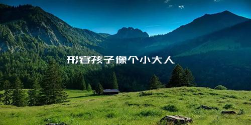 形容孩子像个小大人