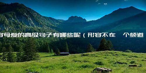形容母爱的高级句子有哪些呢（形容不在一个频道句子）