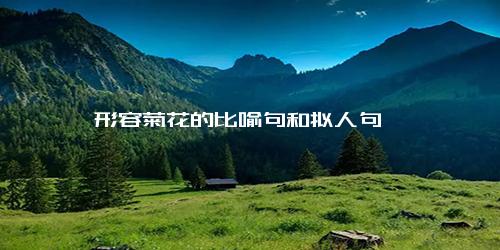 形容菊花的比喻句和拟人句