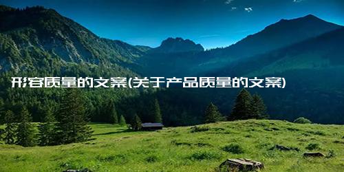 形容质量的文案(关于产品质量的文案)