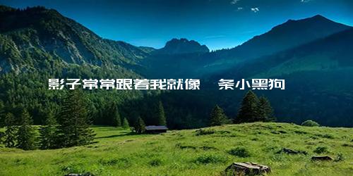 影子常常跟着我就像一条小黑狗