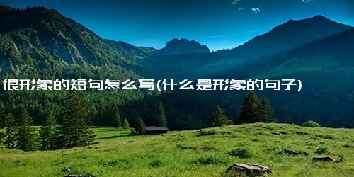很形象的短句怎么写(什么是形象的句子)