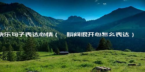 快乐句子表达心情（一瞬间很开心怎么表达）