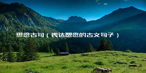 思念古句（表达想念的古文句子）