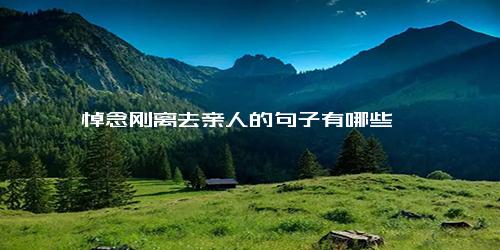 悼念刚离去亲人的句子有哪些
