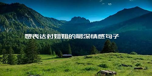 想表达对姐姐的最深情感句子