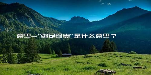 意思-“弥足珍贵”是什么意思？