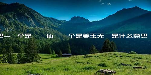 意思-一个是阆苑仙葩一个是美玉无瑕是什么意思