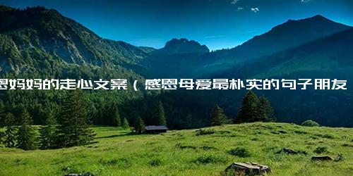 感恩妈妈的走心文案（感恩母爱最朴实的句子朋友圈）