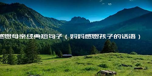 感恩母亲经典短句子（妈妈感恩孩子的话语）