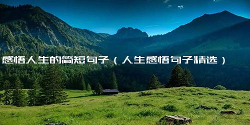 感悟人生的简短句子（人生感悟句子精选）