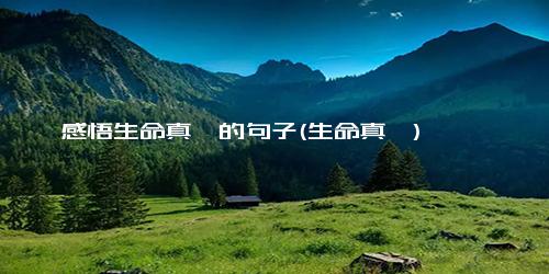 感悟生命真谛的句子(生命真谛)