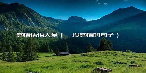 感情话语大全（一段感情的句子）
