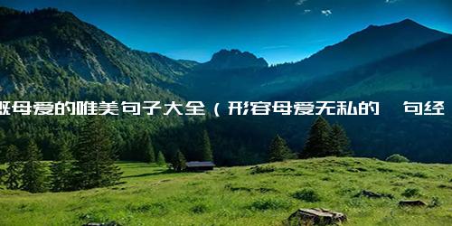 感慨母爱的唯美句子大全（形容母爱无私的一句经典句子）