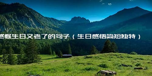 感慨生日又老了的句子（生日感悟简短独特）