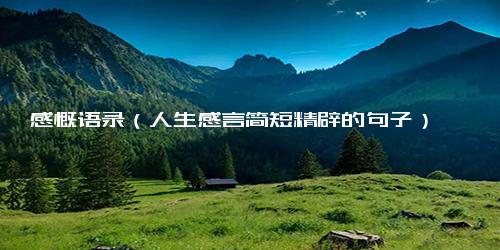 感慨语录（人生感言简短精辟的句子）