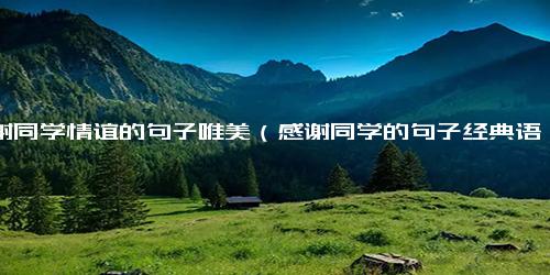 感谢同学情谊的句子唯美（感谢同学的句子经典语录）