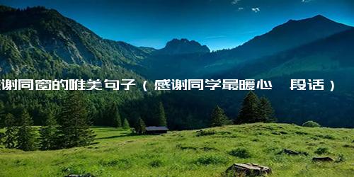 感谢同窗的唯美句子（感谢同学最暖心一段话）