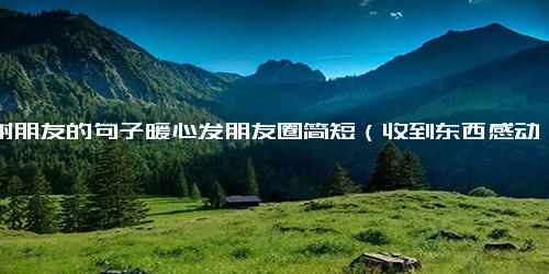 感谢朋友的句子暖心发朋友圈简短（收到东西感动暖心的句子）