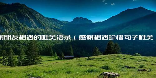 感谢朋友相遇的唯美语录（感谢相遇珍惜句子唯美）