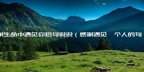 感谢生命中遇见你短句说说（感谢遇见一个人的句子）
